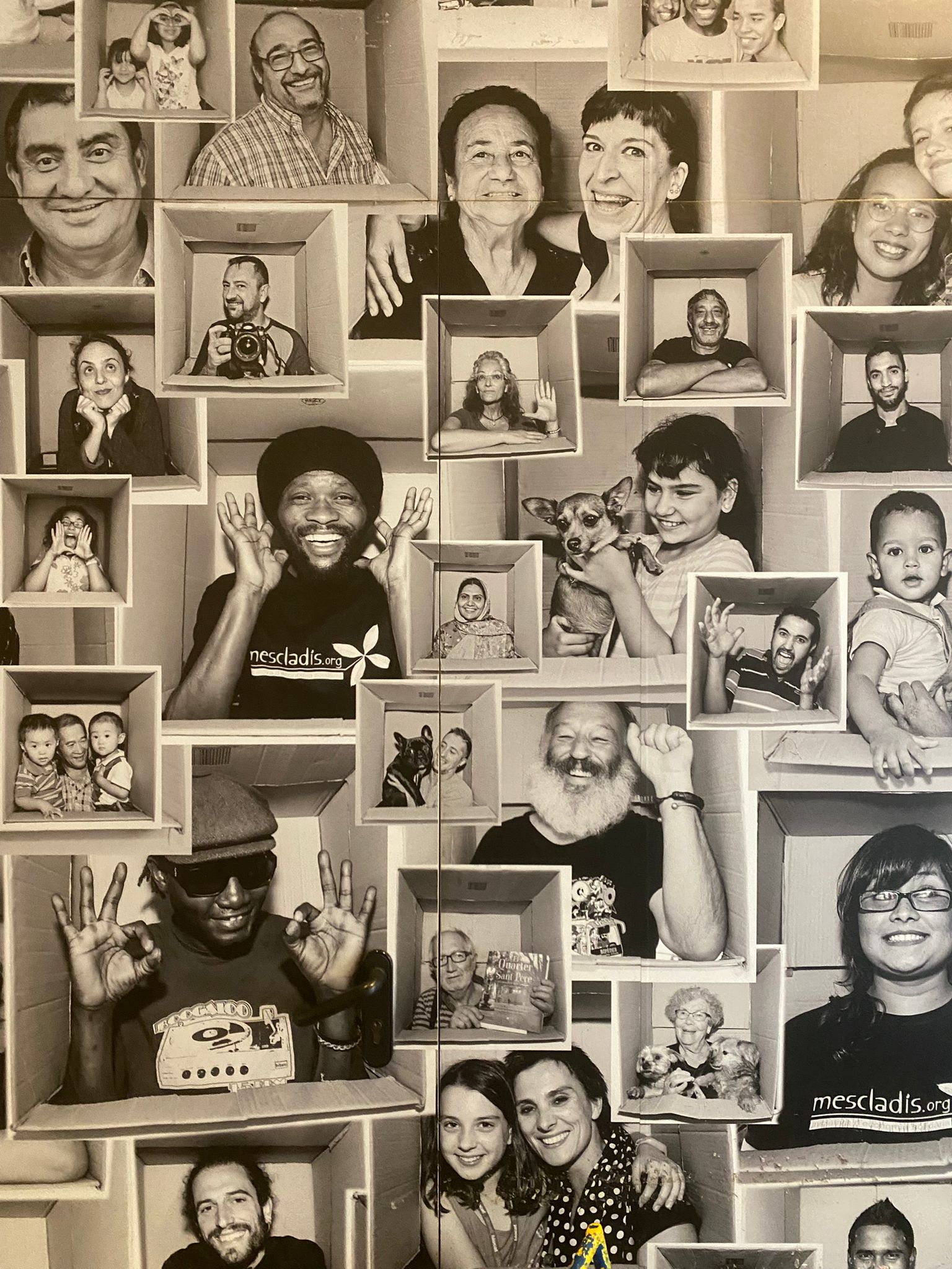 WhatsApp Image 2026-02-03 at 17.17.11