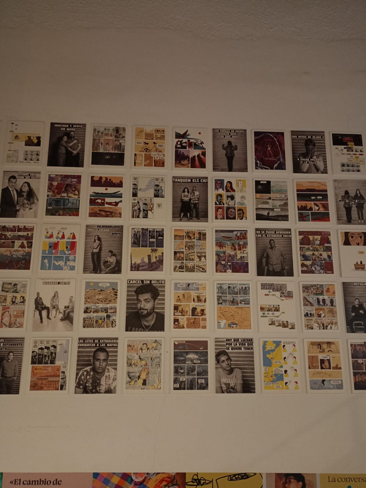 WhatsApp Image 2026-02-03 at 17.18.17